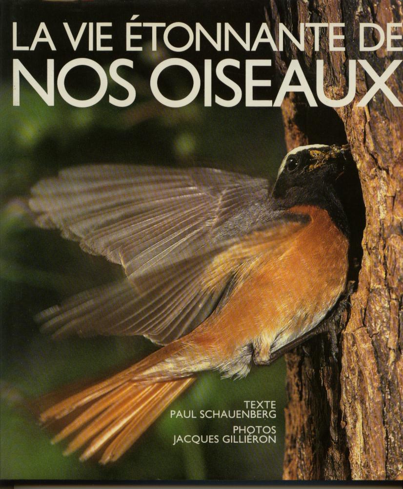 vie_étonnante_des_oiseaux